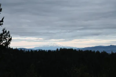 DSC_0144 (Large).JPG